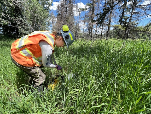 Monitoring for water contamination