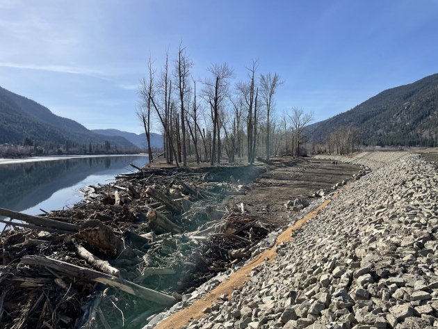 After: Protected riverbank