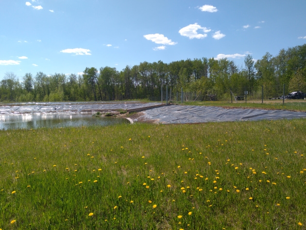 Lagoons in summer