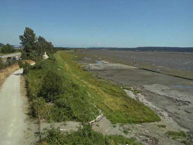 The dike as of July 2024 - courtesy of the City of Surrey