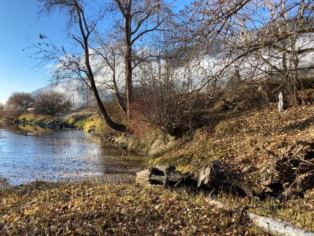 Before: Eroded riverbank