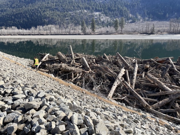 After: Protected riverbank