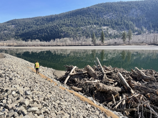 After: Protected riverbank