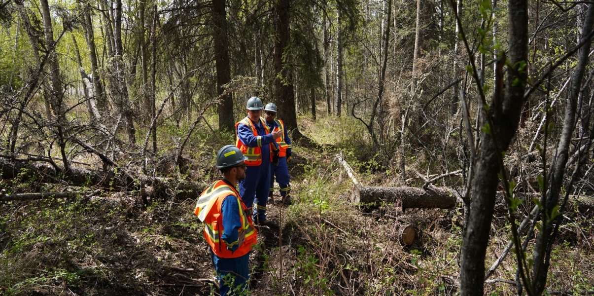 a group of men in safety vests in a forest