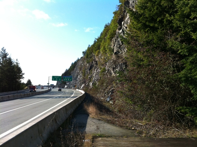 Nelson and Cypress Creek Bridges