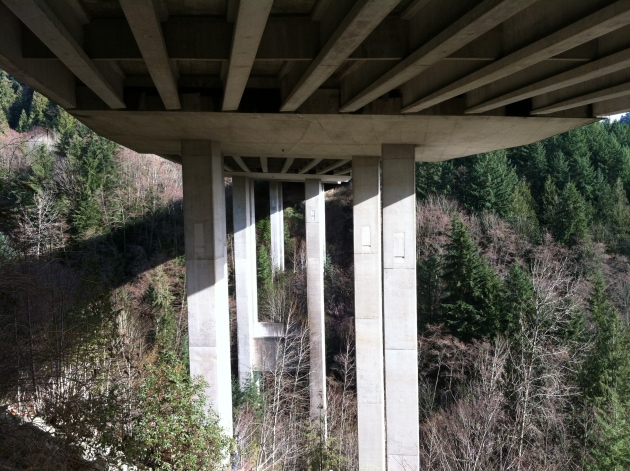 Nelson and Cypress Creek Bridges