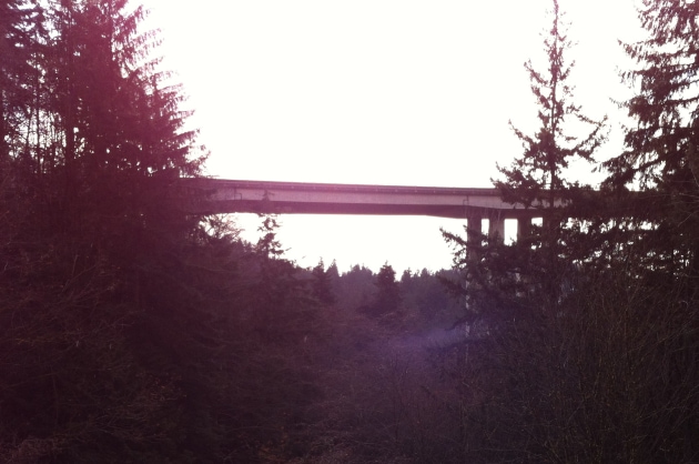 Nelson and Cypress Creek Bridges