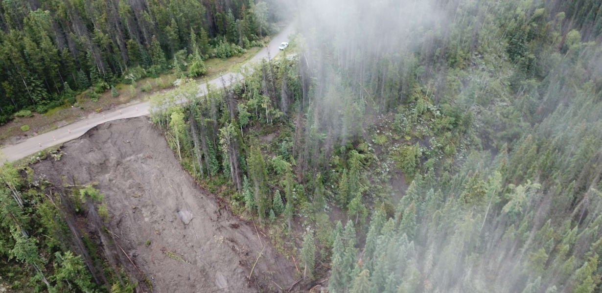 a road in a forest