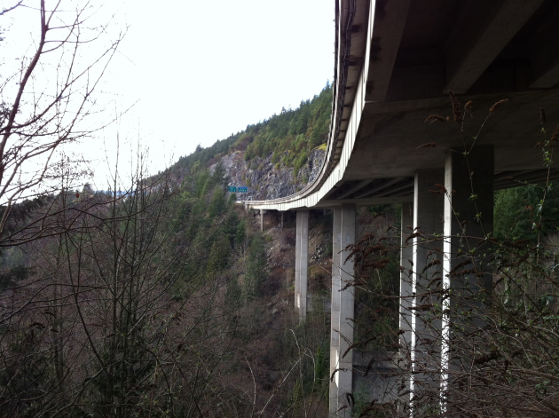 Nelson and Cypress Creek Bridges