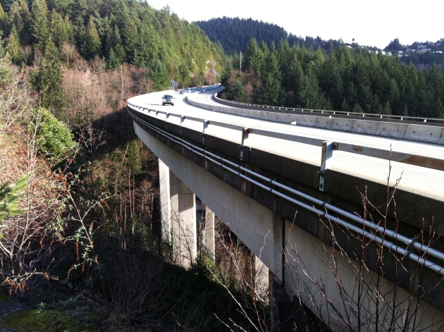 Nelson and Cypress Creek Bridges