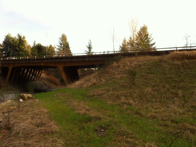 Nelson and Cypress Creek Bridges