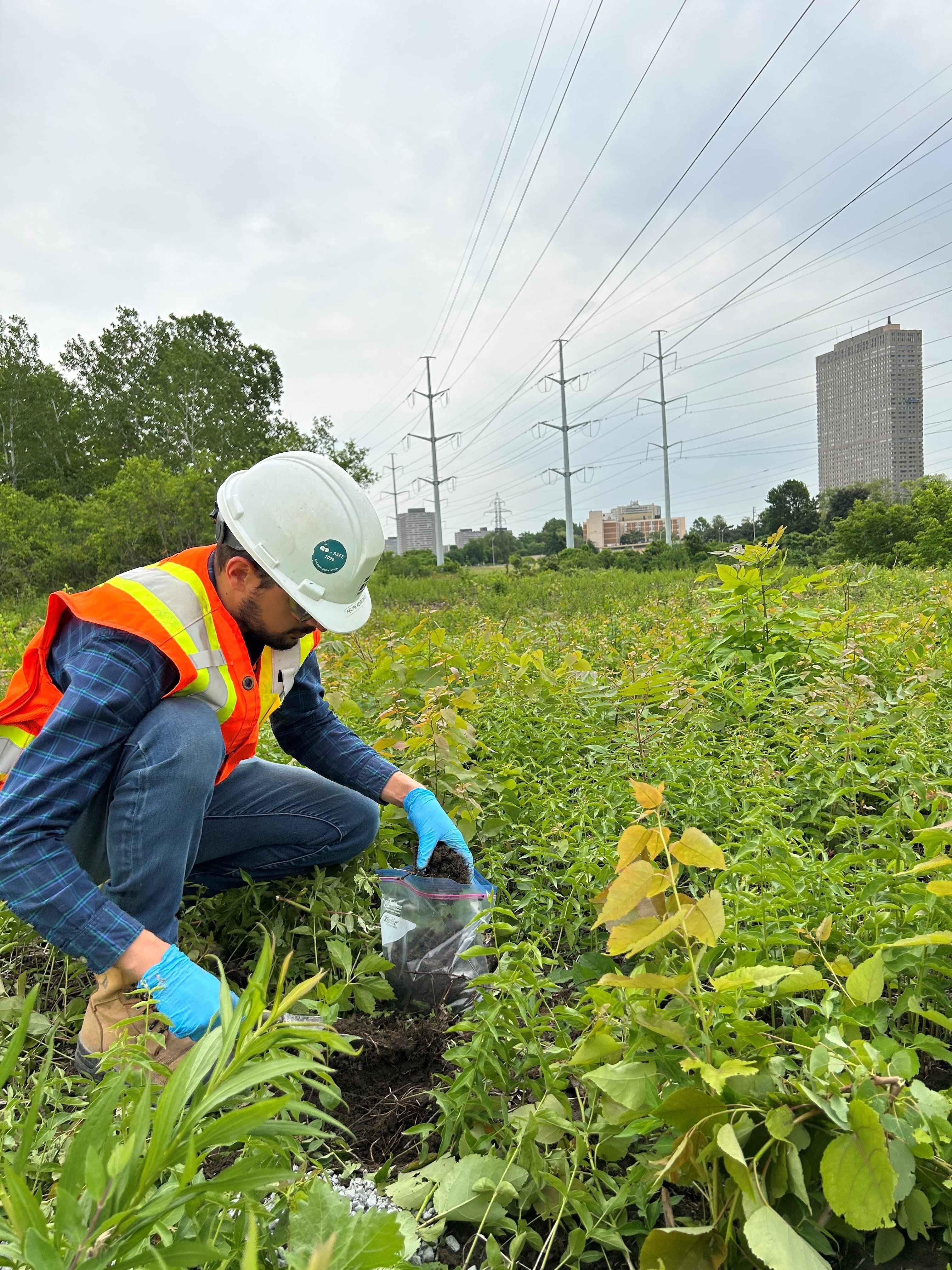 Environmental_Oakville_8-0001.jpg